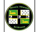 Logo du club Amicale Pétanque Brieronne - Pétanque Génération