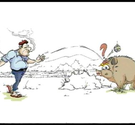 bibe77 - Membre du site Pétanque Génération