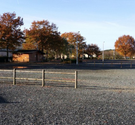 mr - Membre du site Pétanque Génération
