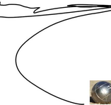 SECRETAIRE GENERALE - Membre du site Pétanque Génération