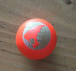 titi PJ - Membre du site Pétanque Génération