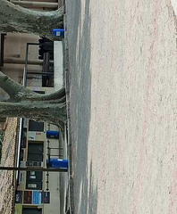 didier jean - Milieu - Joueur de pétanque - Membre Pétanque Génération