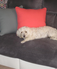 patrick karmann - Pointeur - Joueur de pétanque - Membre Pétanque Génération