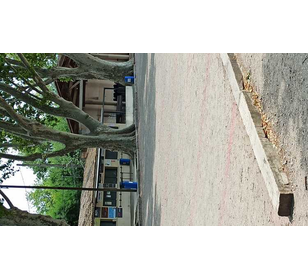 Joueur de pétanque  - Membre de pétanque génération