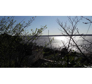 Joueur de pétanque  - Membre de pétanque génération