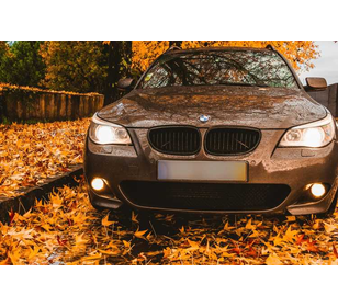 Joueur de pétanque  - Membre de pétanque génération