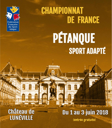 Championnat de France de pétanque de sport adapté - Actualité - Petanque Generation
