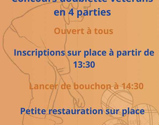 Concours de pétanque Ouvert à tous vétéran - Amnéville