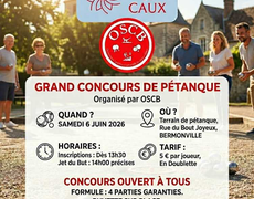 Concours de pétanque Ouvert à tous - Bermonville