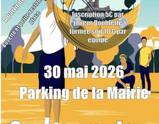 Concours de pétanque Ouvert à tous - Boissy-Mauvoisin