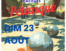 Concours de pétanque Ouvert à tous - Brotte-lès-Ray