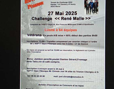 Concours de pétanque Officiel Vétéran - Dijon