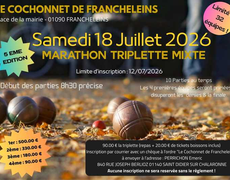 Concours en Triplette Mixte le 18 juillet 2026 - Francheleins