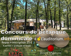Concours de pétanque Ouvert à tous - La Magdelaine-sur-Tarn