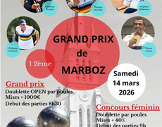 Concours de pétanque Officiel - Marboz
