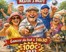 Concours de pétanque Officiel Vétéran - BIBE GIRONDAIS
