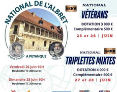 Concours de pétanque Officiel Vétéran - Nerac