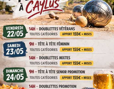Concours de pétanque Officiel Vétéran - Caylus