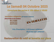 Concours de pétanque Ouvert à tous - Marseille