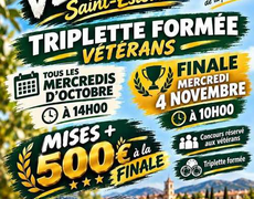 Concours de pétanque Officiel Vétéran - PETANQUE STEPHANOISE