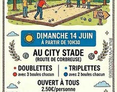 Concours en Doublette le 14 juin 2026 - Saint-Martin-de-Bréthencourt - 78660