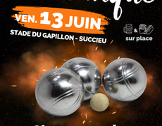 Concours en Doublette le 13 juin 2025 - Succieu - 38300