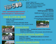 Concours de pétanque Officiel - Tinqueux
