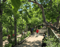 Concours de pétanque Ouvert à tous - Villars