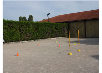 Boule de pétanque -  