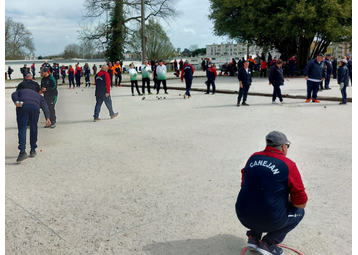 Boule de pétanque -  