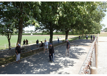 Boule de pétanque -  