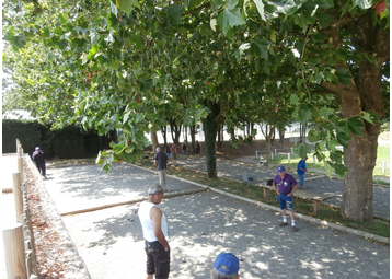 Boule de pétanque -  