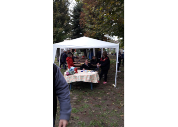 Boule de pétanque -  