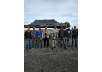 Boule de pétanque -  