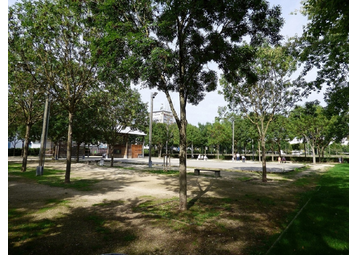 Boule de pétanque -  
