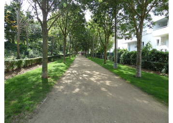 Boule de pétanque -  
