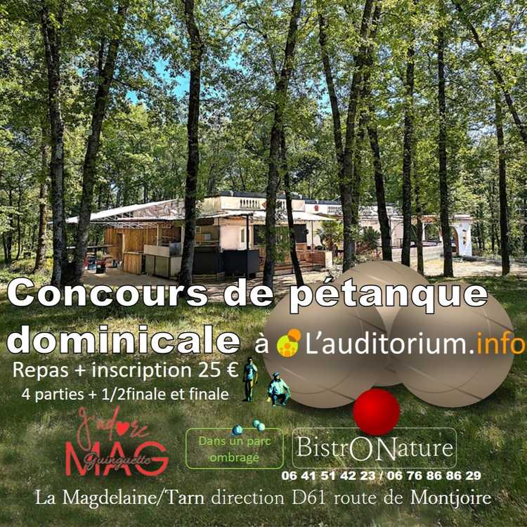 Concours de pétanque Ouvert à tous - La Magdelaine-sur-Tarn