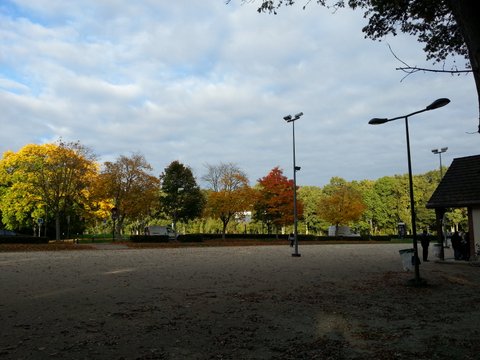 Terrain de pétanque du club Amicale Bouliste - Savigny-le-Temple
