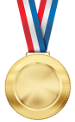 1er meilleur joueur au classement général toutes catégories des joueurs de pétanque licenciés en france - Médaille d'or